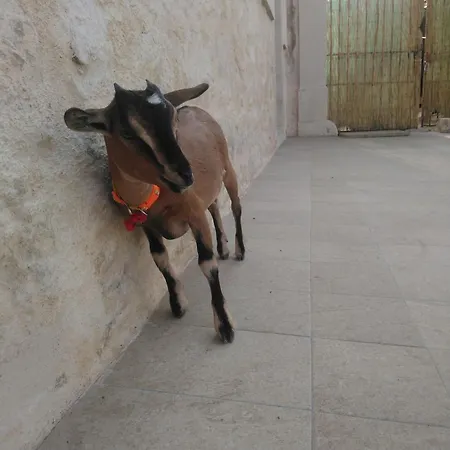 Séjour à la ferme Giardini Acantus *