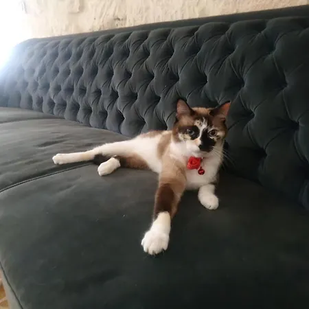 Feriegård Giardini Acantus Rosolini