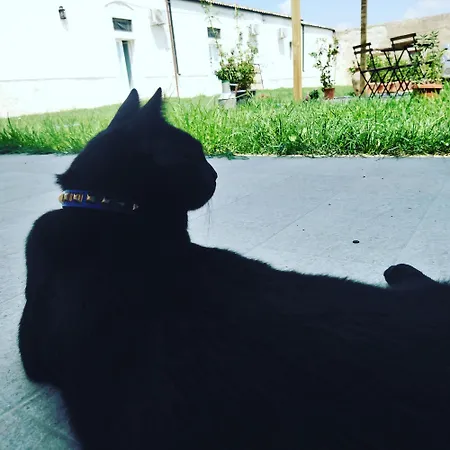 Giardini Acantus Feriegård *