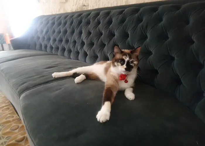 Feriegård Giardini Acantus Rosolini