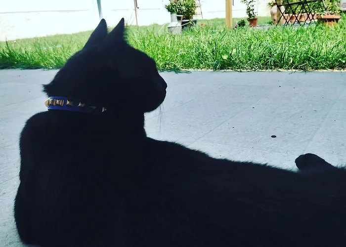 Giardini Acantus Feriegård *